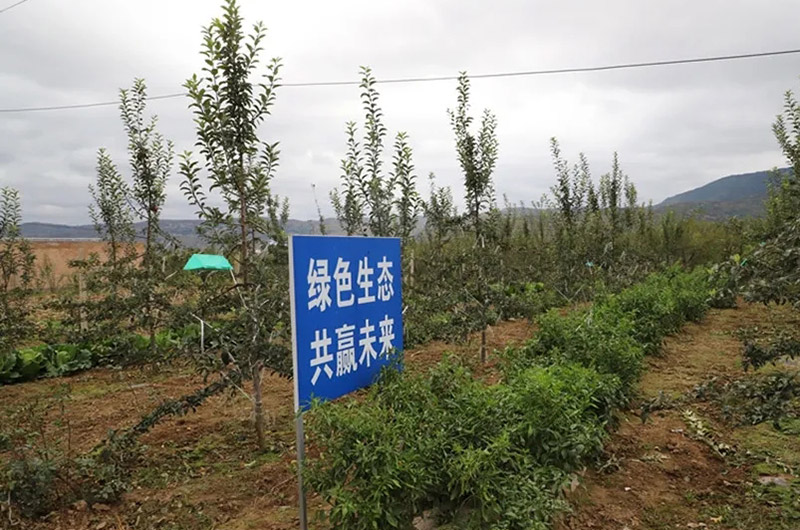 矿山行业的智能化转型与绿色开采发